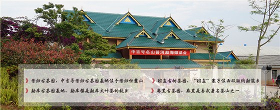 茶园基地