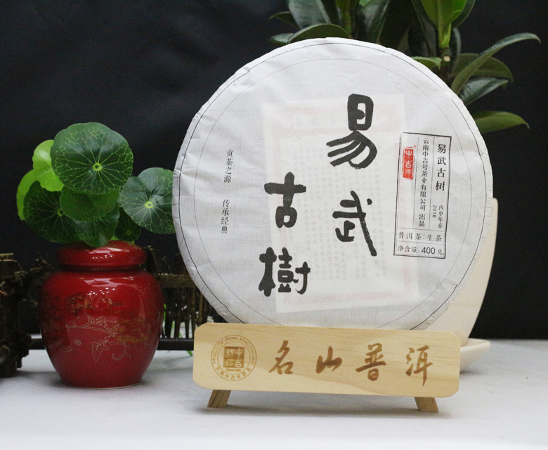 易武古树2016